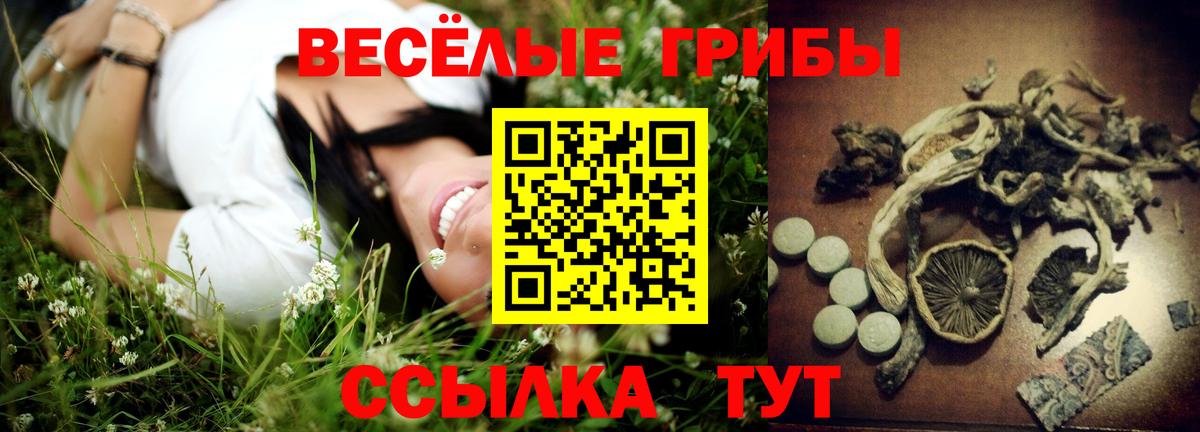 Псилоцибиновые грибы GOLDEN TEACHER  Вход с VPN  Псилоцибиновые грибы Psilocybe  Зеленодольск 